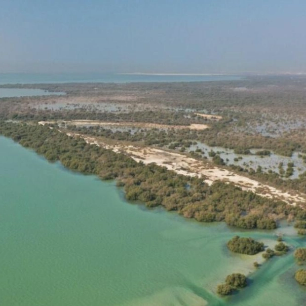 New Ecotrail to Open at Umm Al Quwain Mangrove Reserve