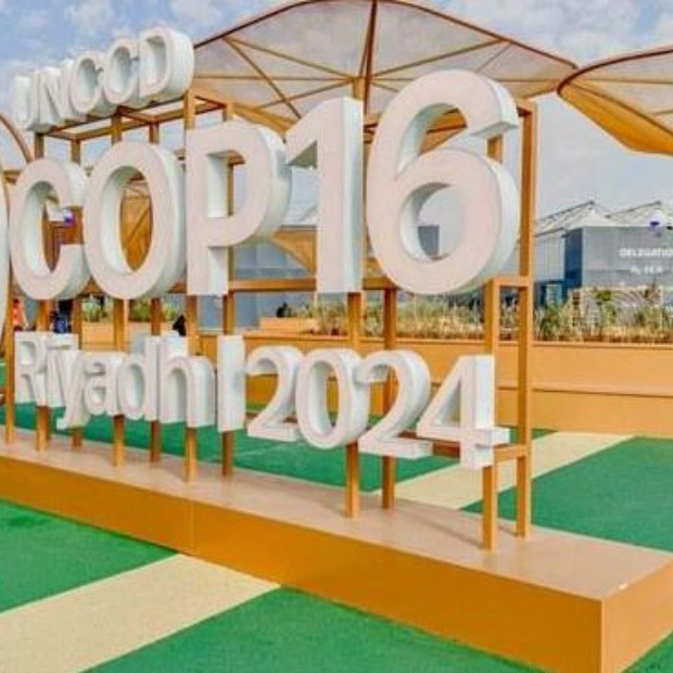 Youth Empowerment Takes Center Stage at COP16