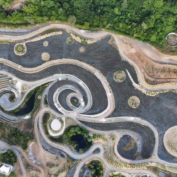 Bosnian Entrepreneur Realizes Dream of Van Gogh's Starry Night Park