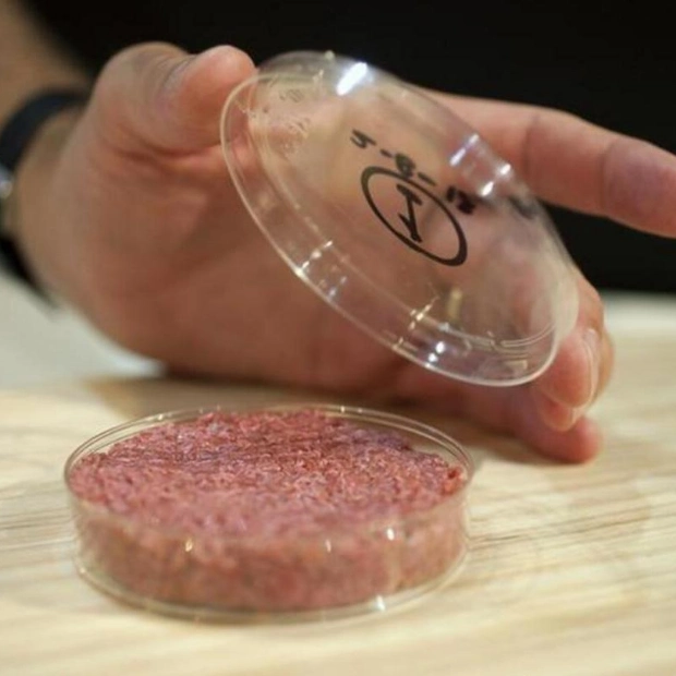 UAE and Believer Meats Partner to Advance Cultivated Meat