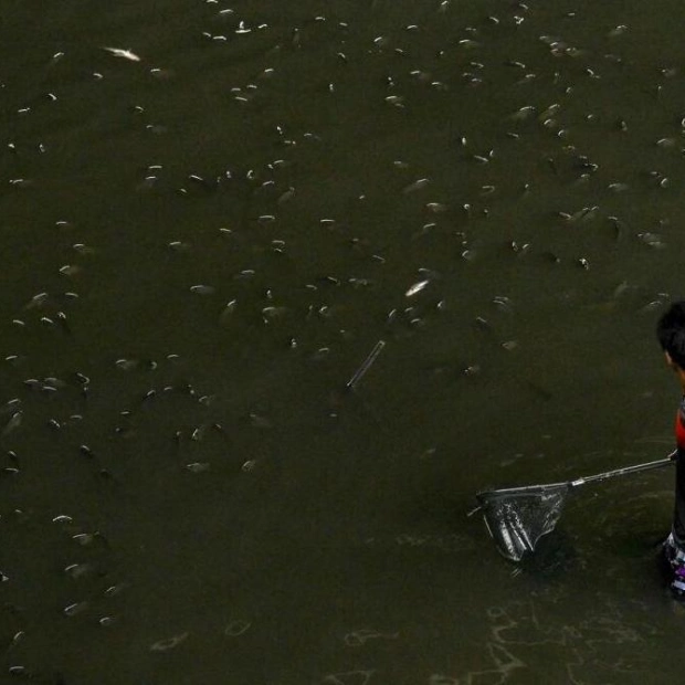 Thailand Fights Invasive Tilapia Infestation