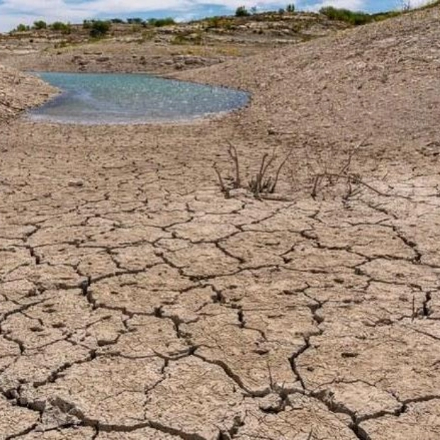 Saudi Arabia Launches Global Drought Resilience Partnership