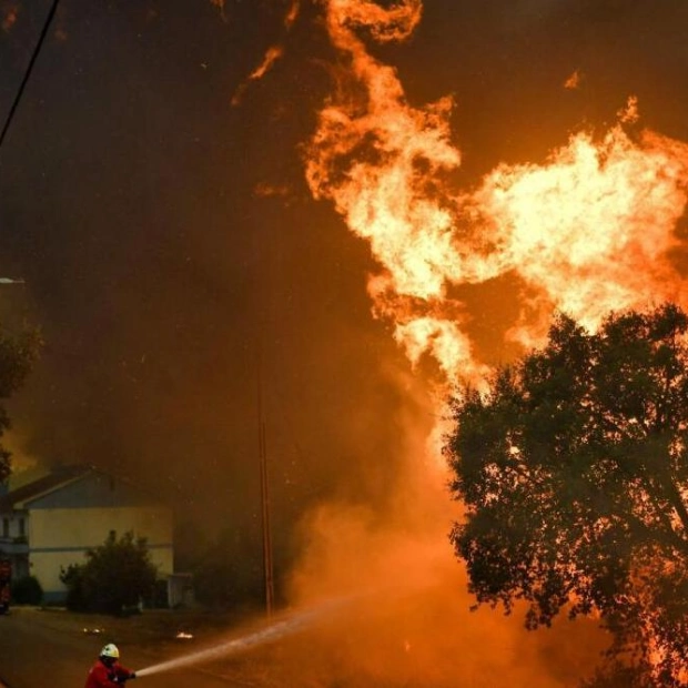 Portugal Seeks More Firefighting Aircraft Amid Multiple Wildfires