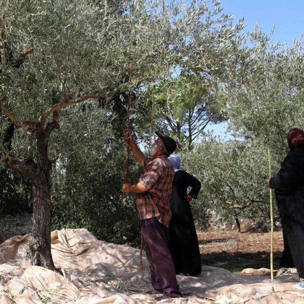 Lebanese Farmers Caught in Crossfire Amid Israeli-Hezbollah Conflict