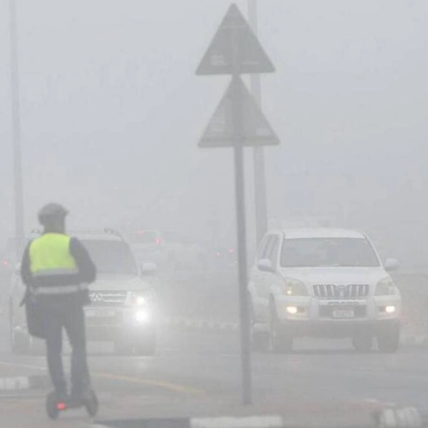 Foggy Weather Forecast for Coastal and Inland UAE