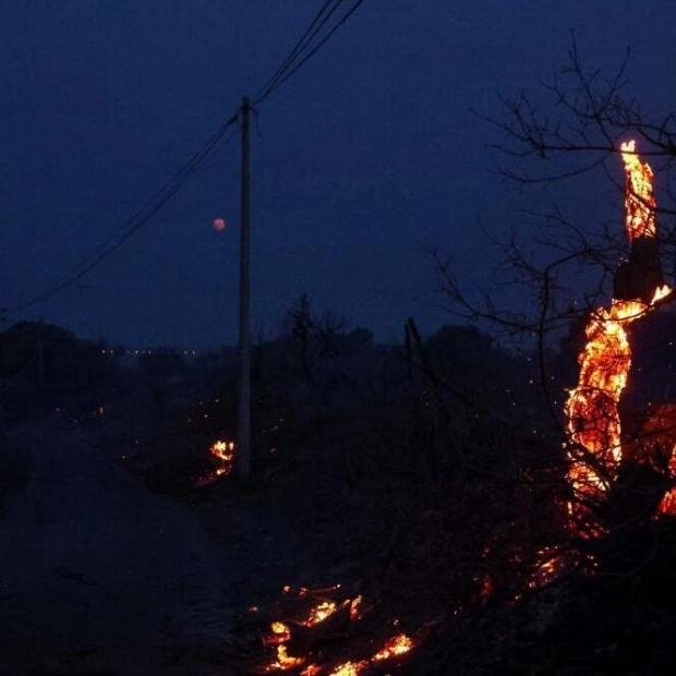 Wildfires in Southern France Force Thousands to Evacuate