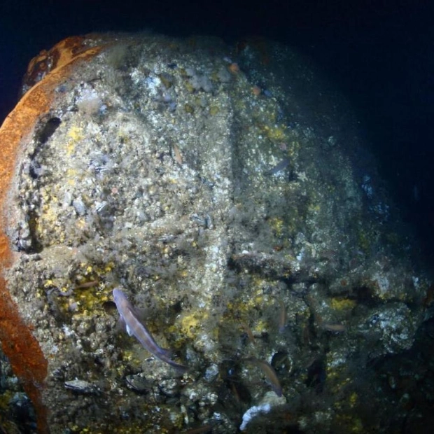 US Dive Team Discovers Wreck of 1856 French Steamship Le Lyonnais