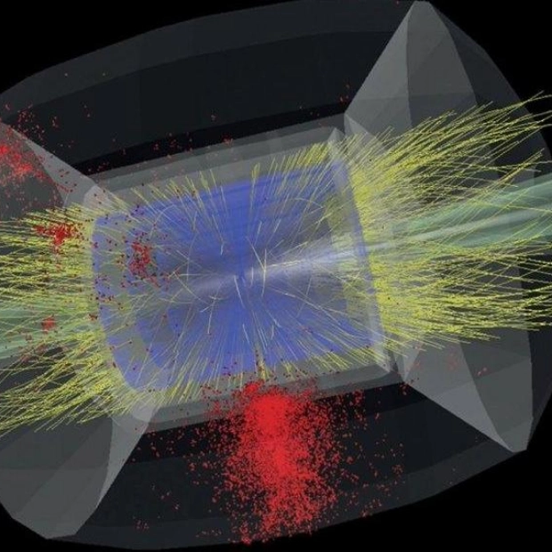 Muons Make Headway in Particle Physics Experiments