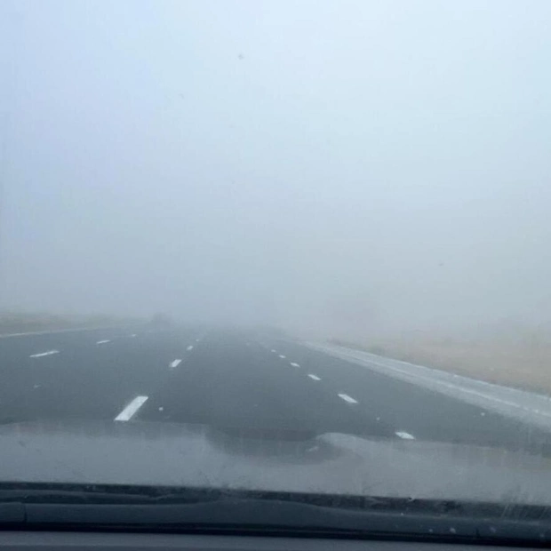 Heavy Fog and Driving Conditions in UAE