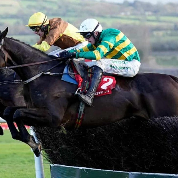 Cheltenham Gold Cup: New Favorite Emerges Amid British Drought