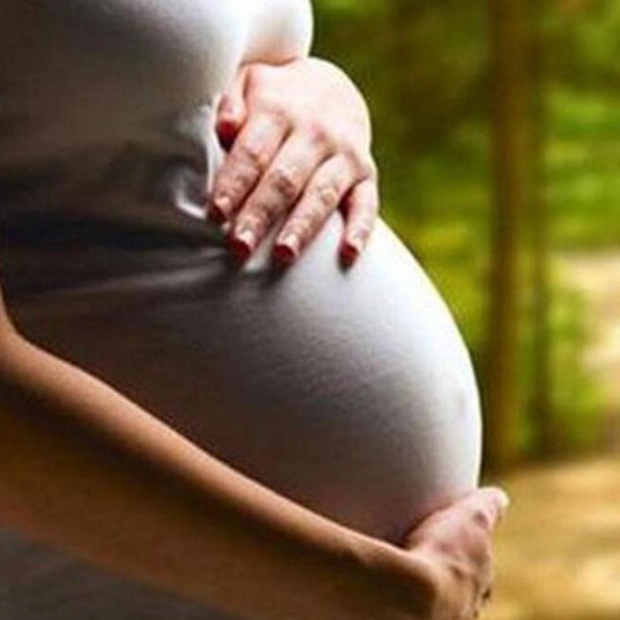 UAE Doctors Stress Importance of Seatbelts for Pregnant Women