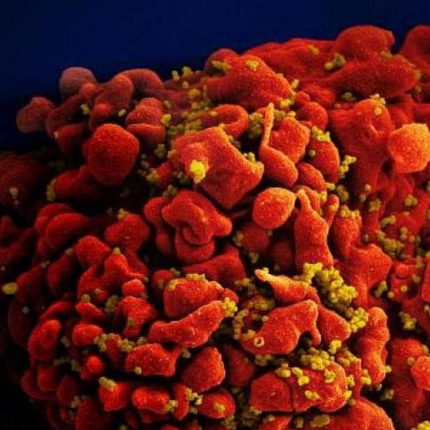 German Man Likely Seventh to Be Cured of HIV Through Stem Cell Transplant