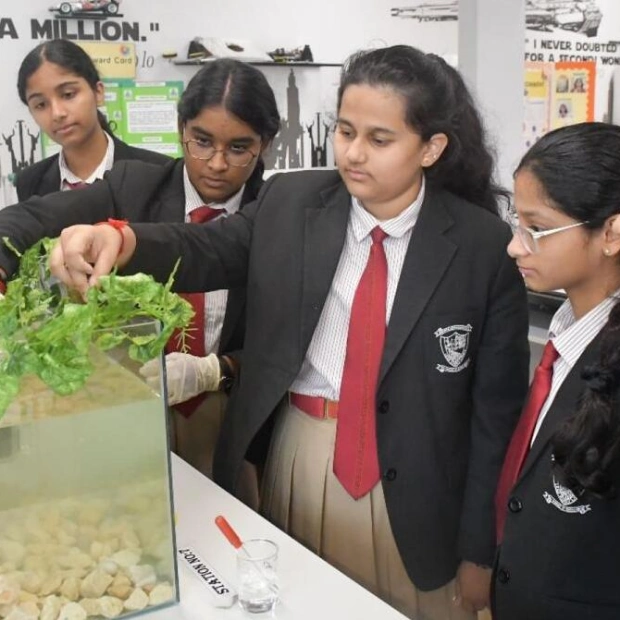 Dubai Students Develop Aquatral to Combat Ocean Acidification
