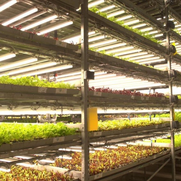 Discover Sustainable Farming at UNS Vertical Farms in Dubai