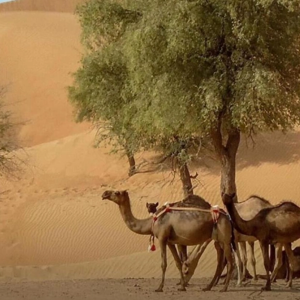 Grazing Ban in Abu Dhabi: Protecting Biodiversity