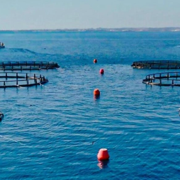 Abu Dhabi Launches Pioneering Sea Cage Aquaculture Project