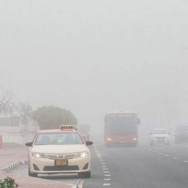 Fog Alert: Drivers Urged to Exercise Caution