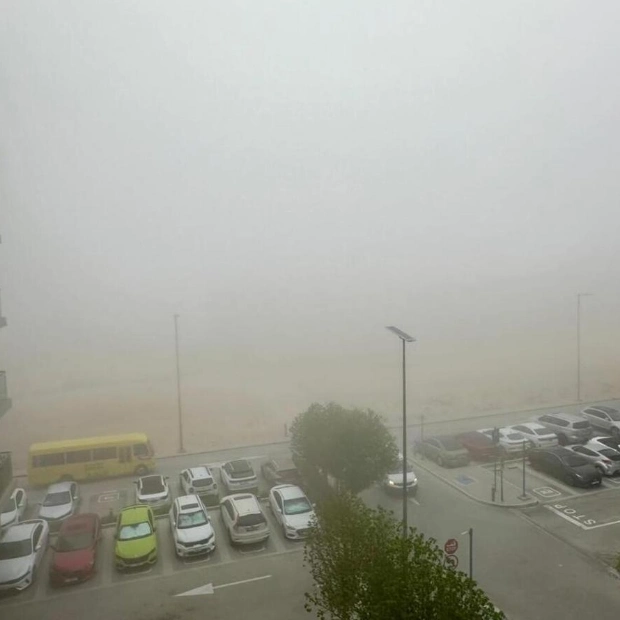 NCM Issues Red Alert for Fog-Impacted Visibility on UAE Roads