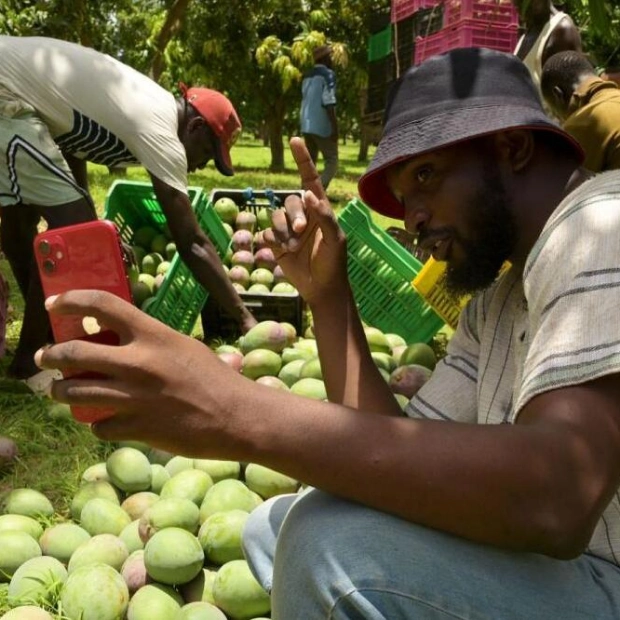 Senegalese Farmers Turn to Social Media for Agricultural Innovation