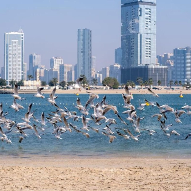 UAE Weather Forecast: Cloudy Skies and Localized Rain Expected