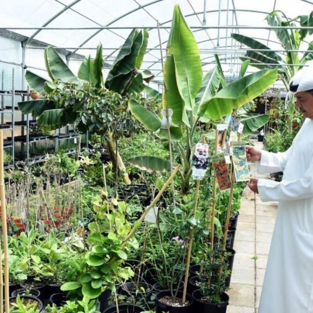 Emirati Farmer Pioneers Cocoa Cultivation in Fujairah