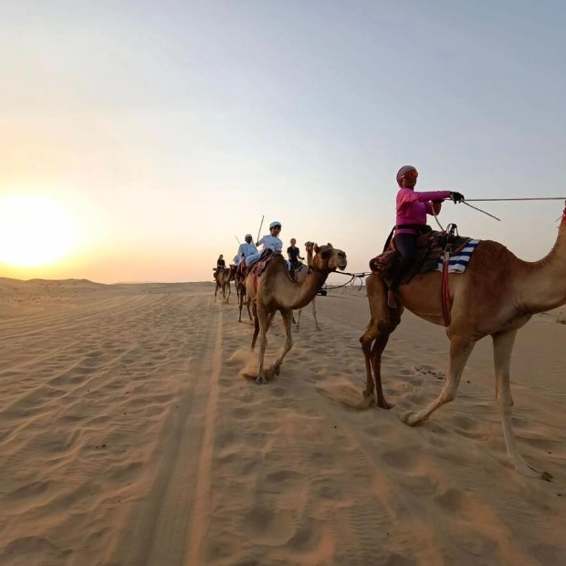 11th Annual 'Camel Trek' Underway in the UAE