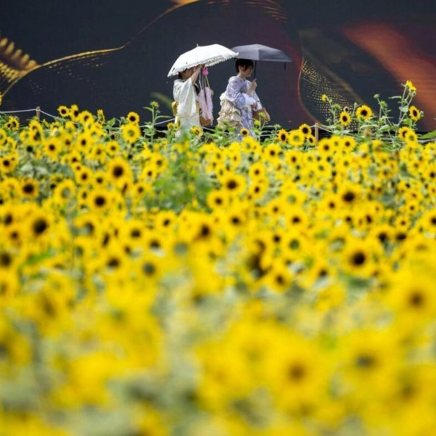 Second Hottest July Recorded Globally, Climate Trends Continue