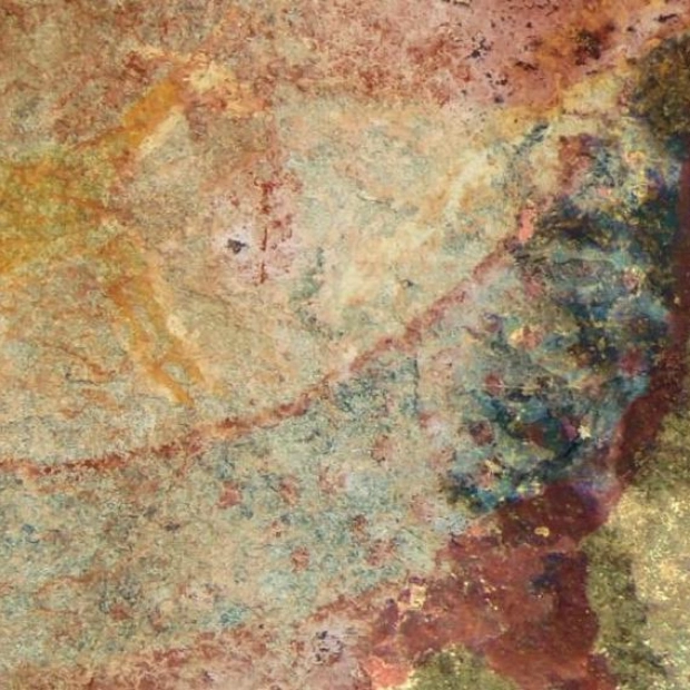 African Rock Art May Reflect Ancient Dicynodont Fossils