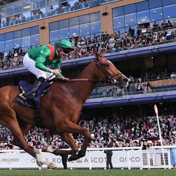 2024 Champions Day: Ascot's Richest Racing Day