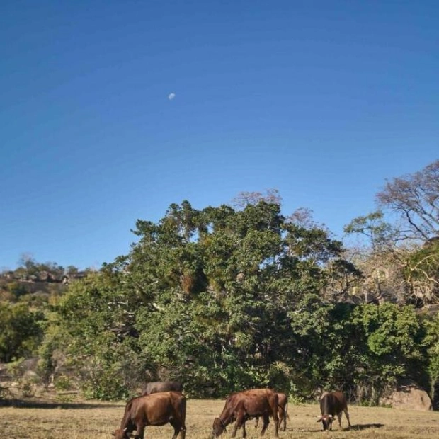 Africa Struggles with Rising Climate Change Costs Despite Low Emissions