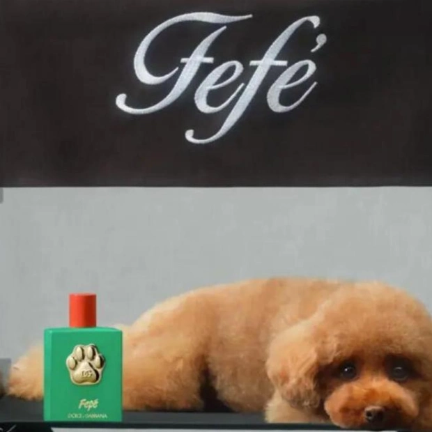 Dolce & Gabbana Unveils Luxurious Dog Perfume 'Fefe'