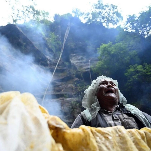 Himalayan Honey Hunters Face Threats from Climate Change