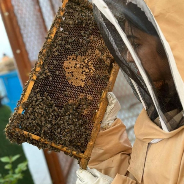 Young Emirati Girl Turns Beekeeping Hobby into a Passion