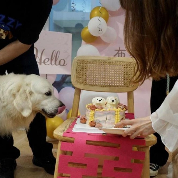Golden Retrievers Bree and Bond Tie the Knot in Dream Wedding