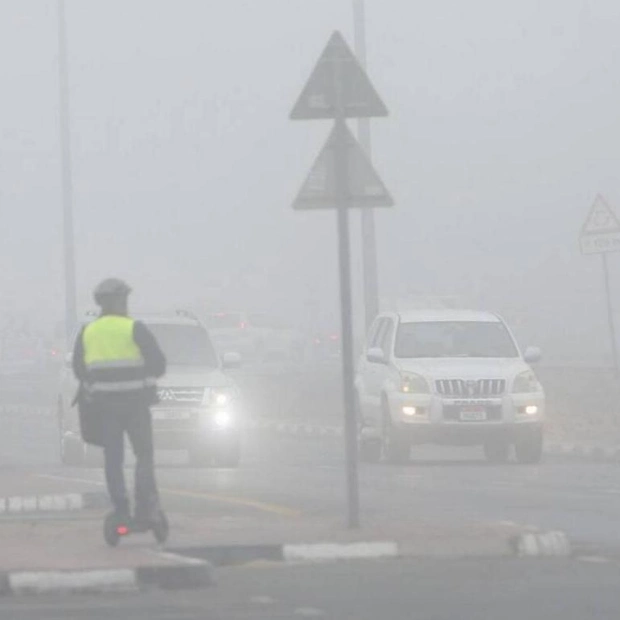 UAE Residents Urged to Prepare for Foggy Days and Drive Cautiously