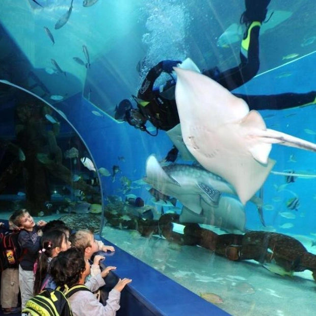 Discover the Serene Marine Life at Sharjah Aquarium