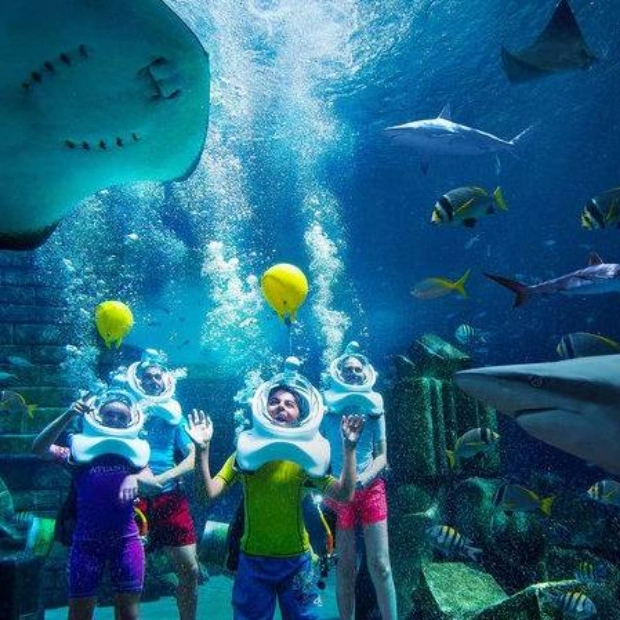 Океанариум The Lost Chambers: Сезон «Summer of Sharks» в Дубае