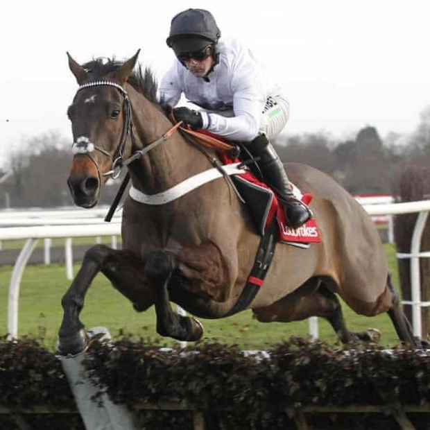 2024-25 National Hunt Season Kicks Off at Cheltenham