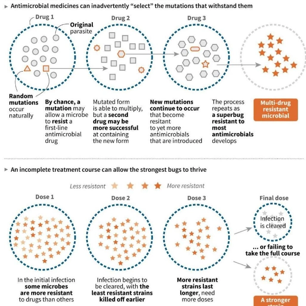 Superbugs Could Kill Nearly 40 Million by 2050: Global Analysis