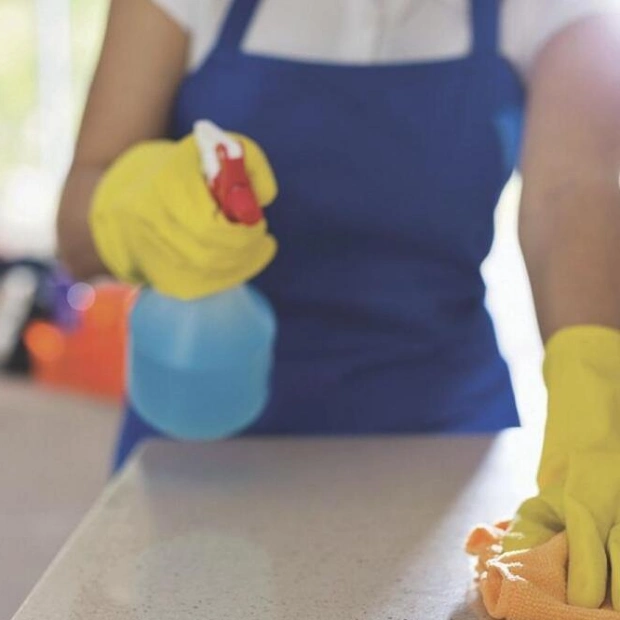 New Regulations Speed Up Resolution of Domestic Worker Disputes