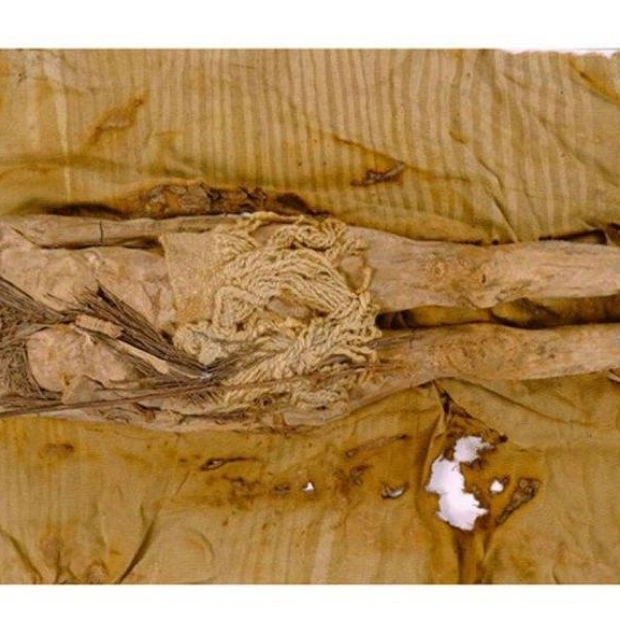 Oldest Preserved Cheese Found on Ancient Mummies