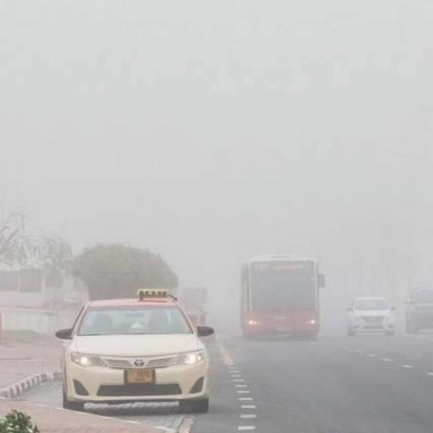 Fog Alerts Issued in UAE; Rainfall Expected