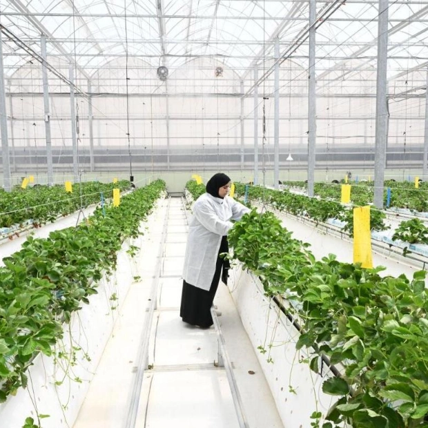 UAE's Agriculture Sector Poised for $4 Billion Growth by 2029