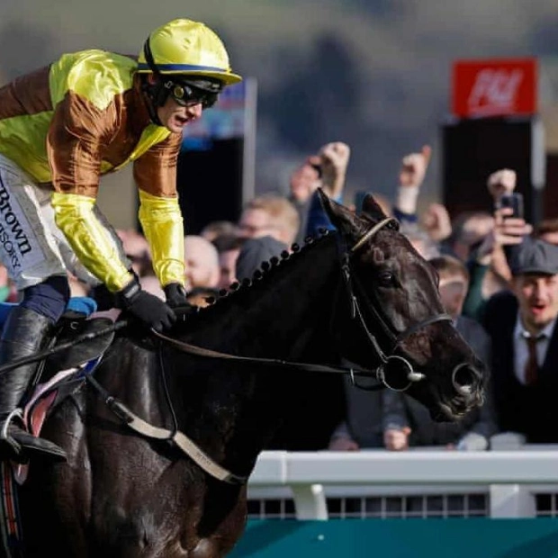 Cheltenham Racecourse Unveils Measures to Revitalize Festival