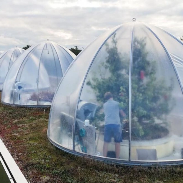 Belgian Researchers Simulate 2040 Climate to Grow Pears