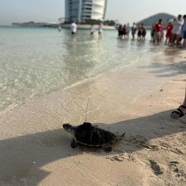 Dubai Turtle Rehabilitation Project: A Success Story of Marine Conservation