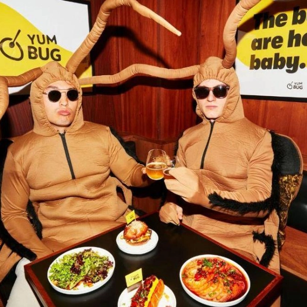 Yum Bug: The Cricket-Centric Eatery in Finsbury Park