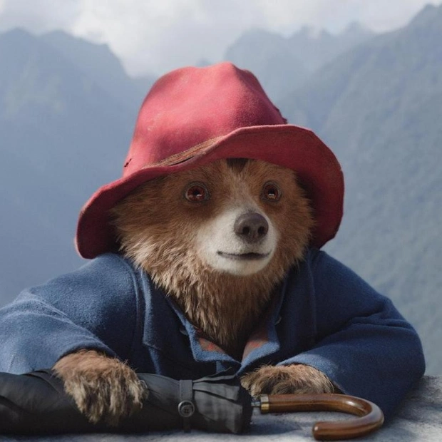 Paddington In Peru: A Cinematic Adventure