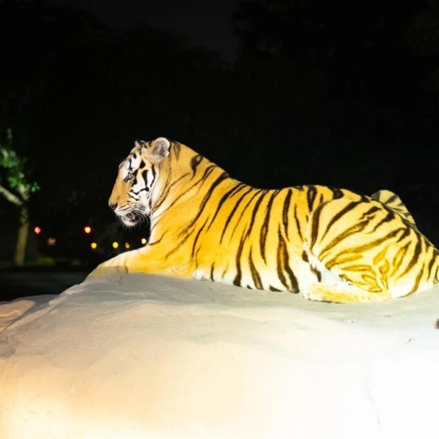 Dubai Safari Park Launches Night Safari Experience