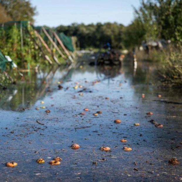 Floods Devastate Hungarian Farmer's Organic Crops